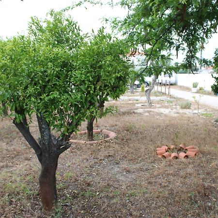 O Mundo Da Lua Villa Azeitão Eksteriør billede