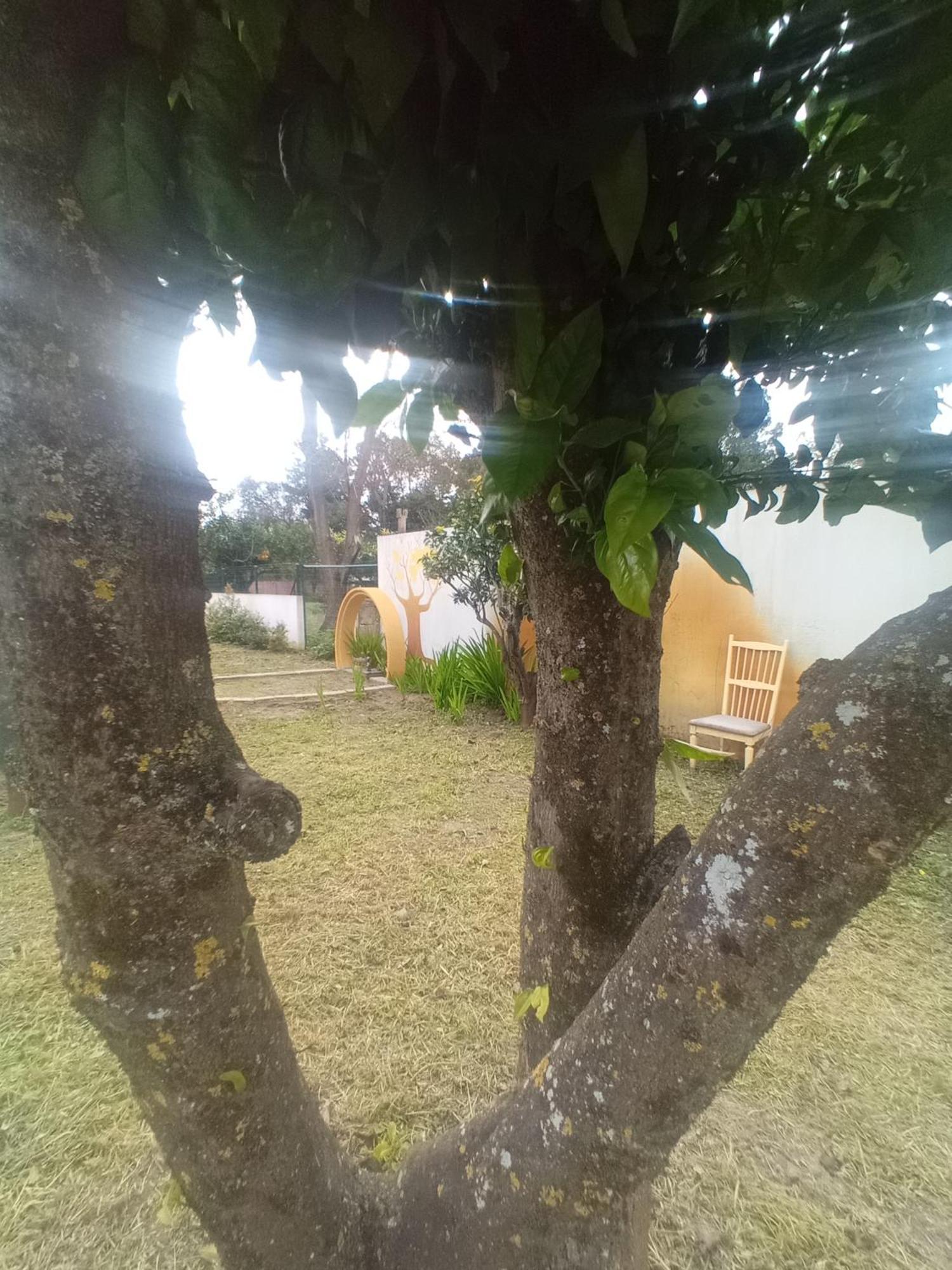O Mundo Da Lua Villa Azeitão Eksteriør billede