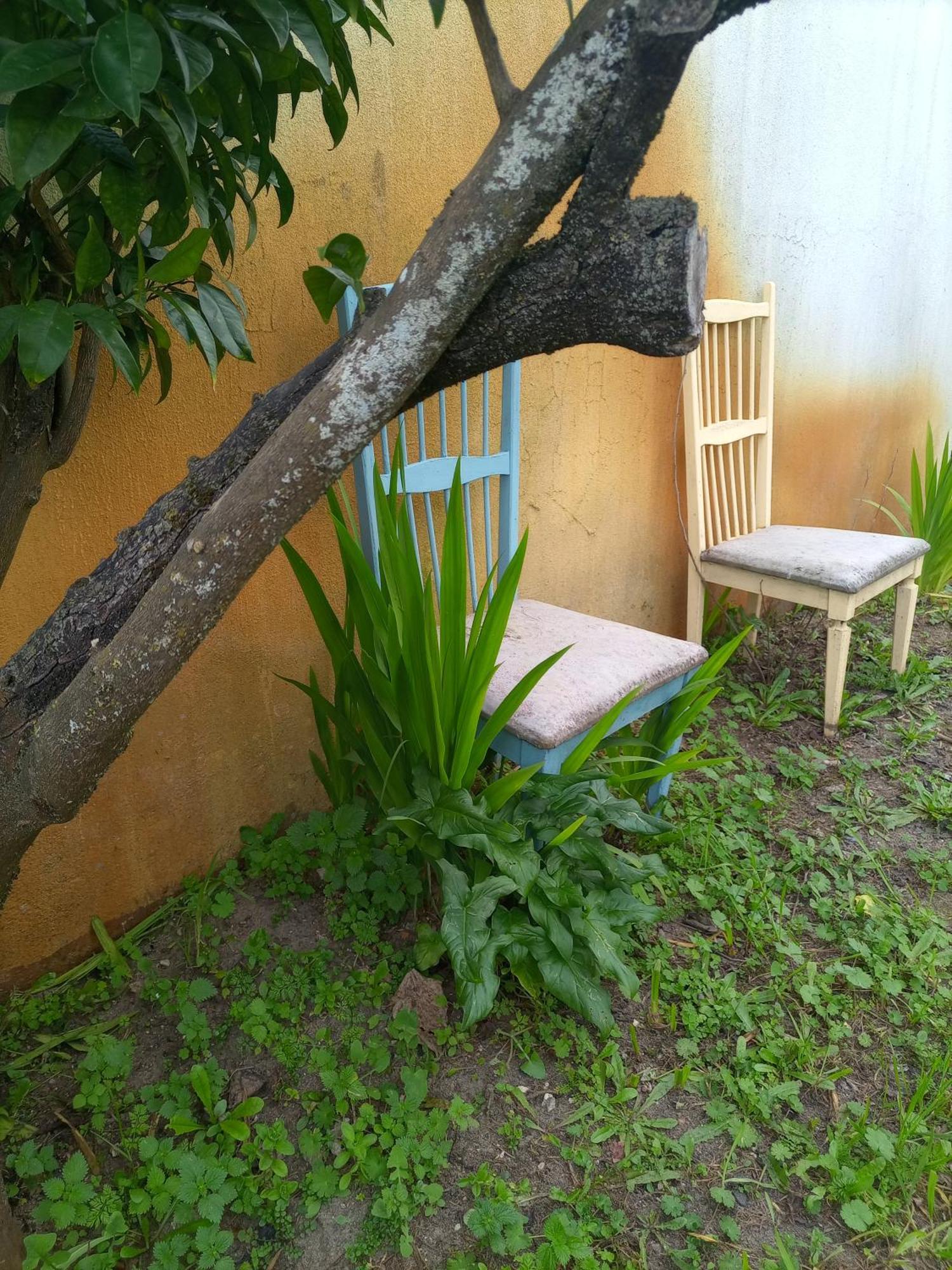 O Mundo Da Lua Villa Azeitão Eksteriør billede