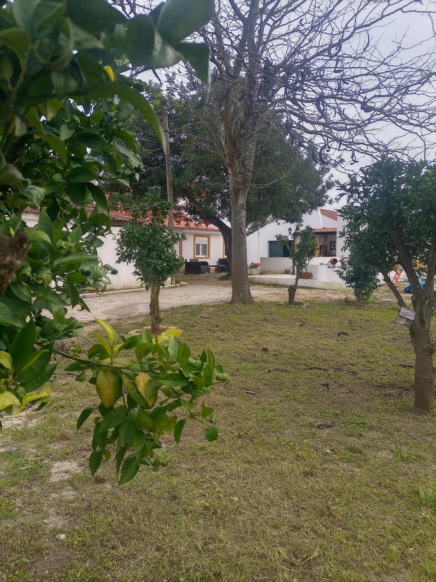 O Mundo Da Lua Villa Azeitão Eksteriør billede