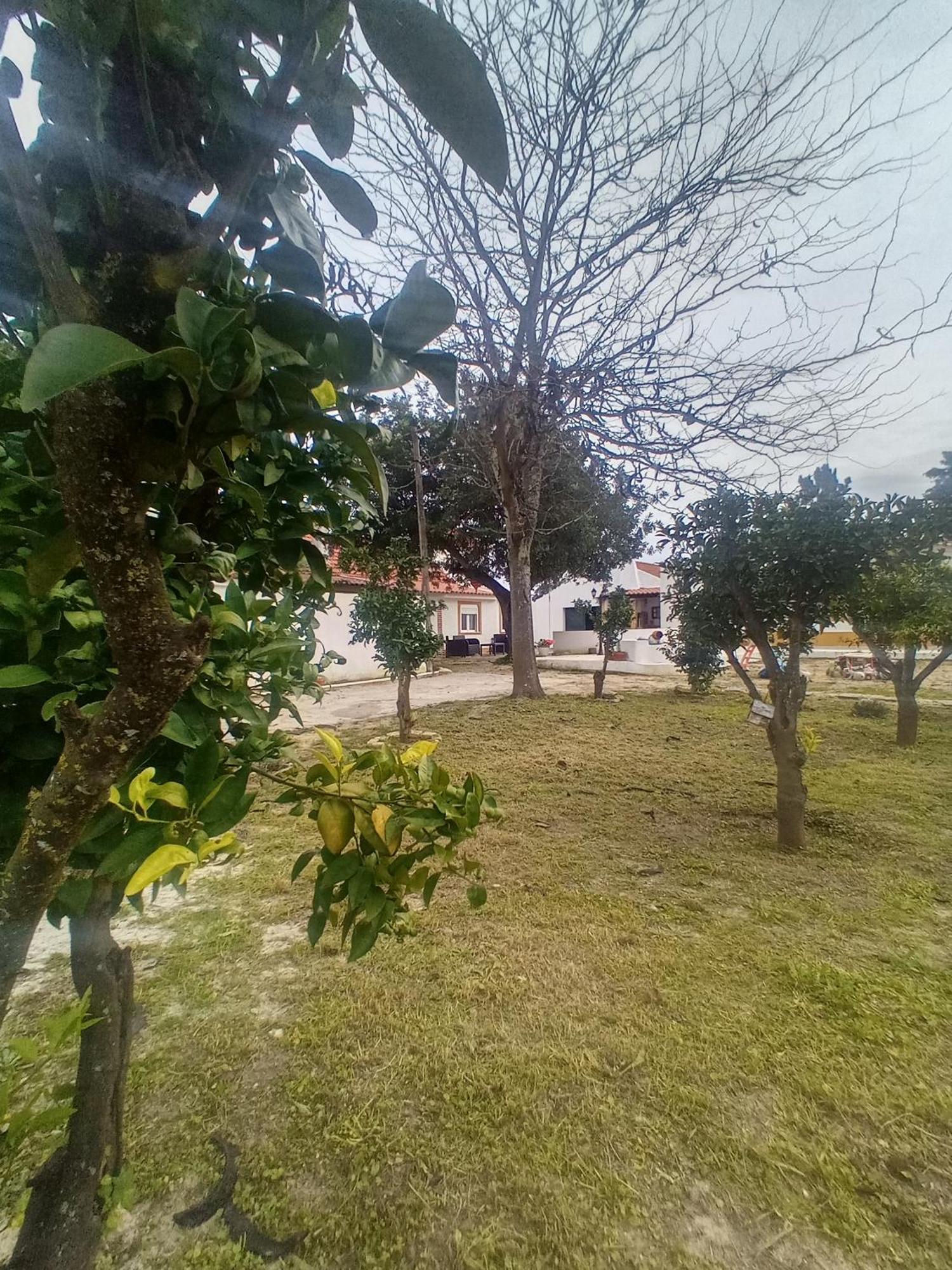 O Mundo Da Lua Villa Azeitão Eksteriør billede