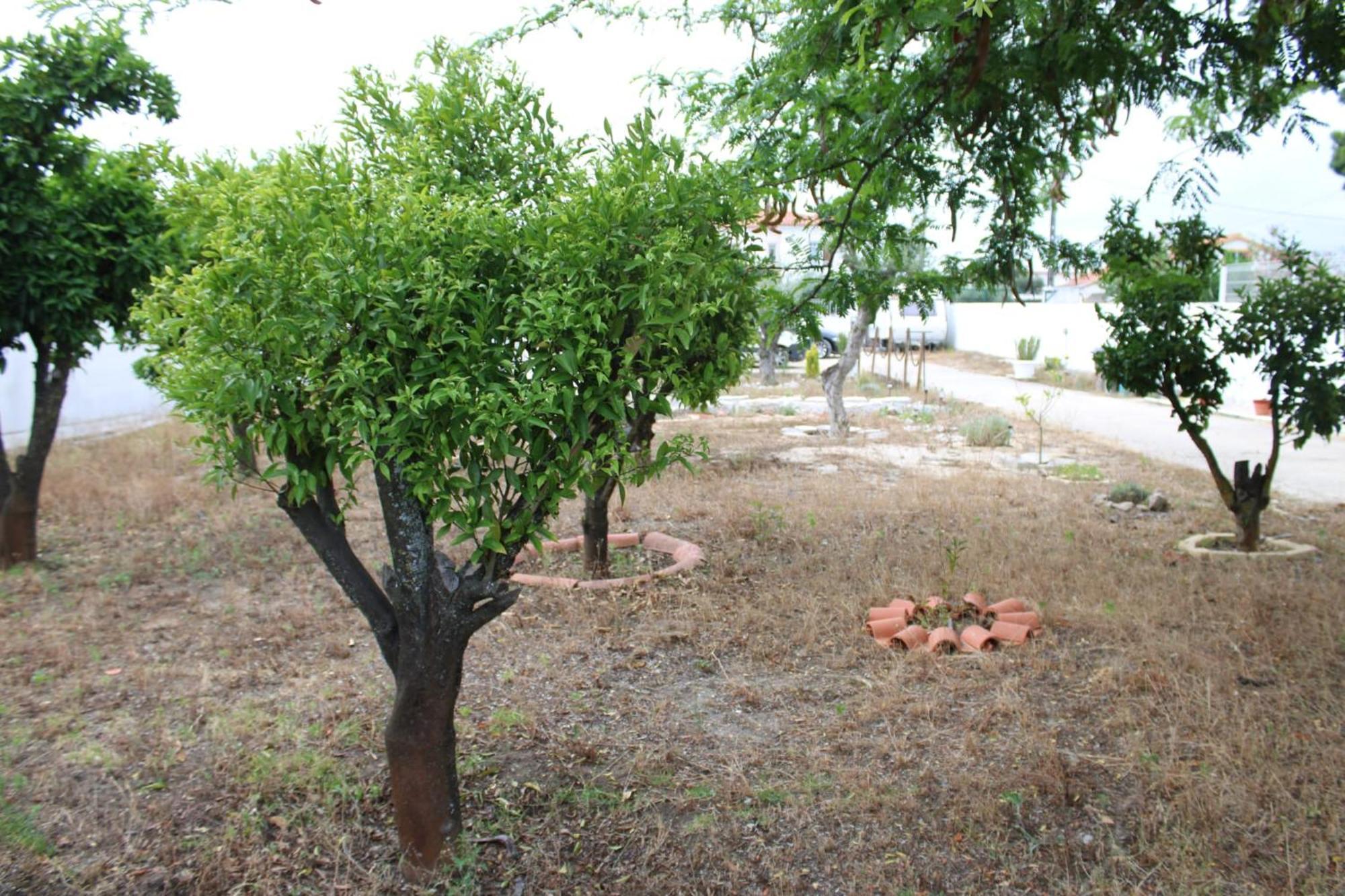 O Mundo Da Lua Villa Azeitão Eksteriør billede